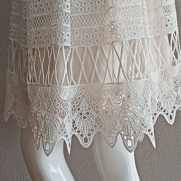 💥HOST PICK💥 Forever New lace dress - Picture 4 of 5